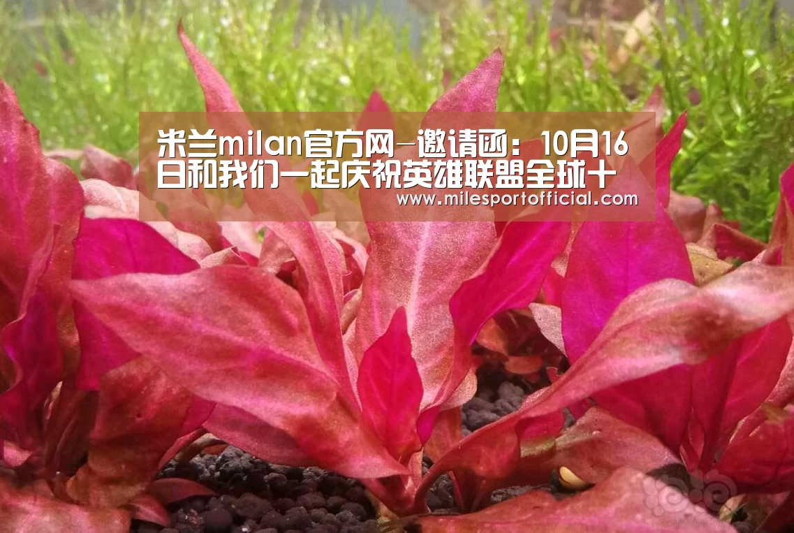 米兰·官方网站