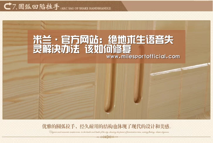 米兰·官方网站:绝地求生语音失灵解决办法 该如何修复(图2) 米兰·(milan)