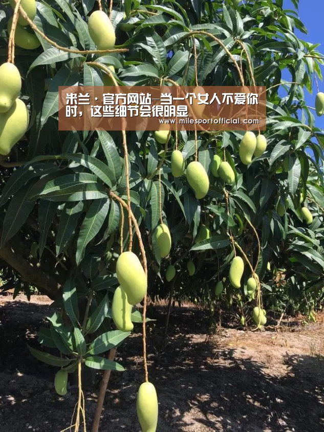米兰·官方网站-当一个女人不爱你时,这些细节会很明显(图2) 米兰·官方网站