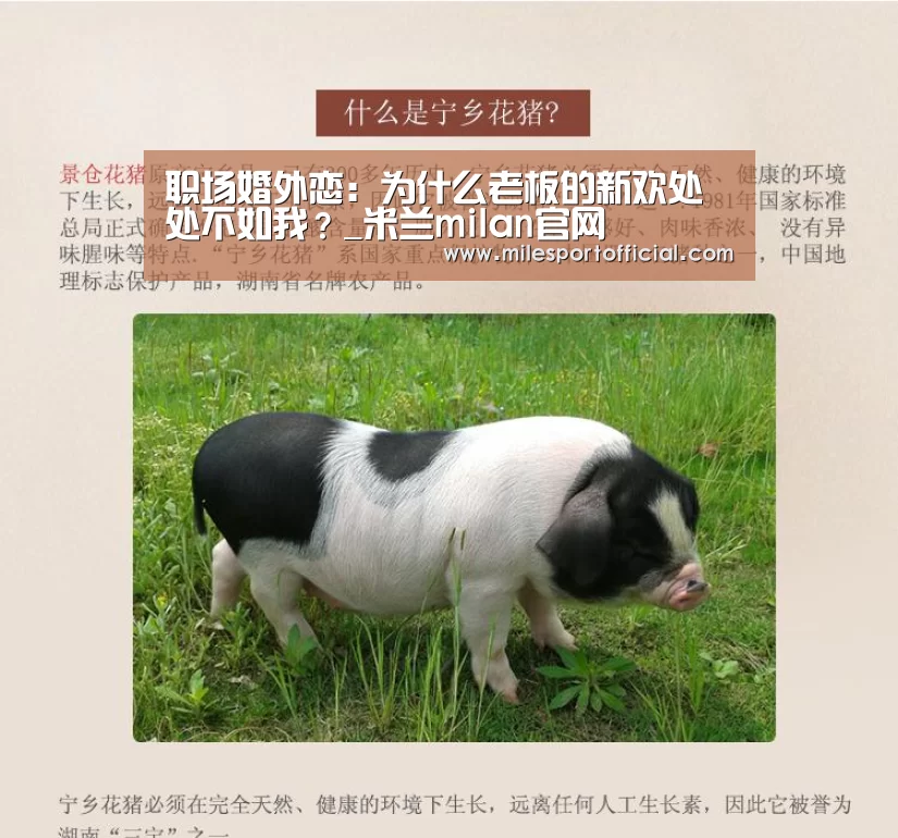 职场婚外恋:为什么老板的新欢处处不如我?_米兰milan官网(图1) 米兰milan官方网