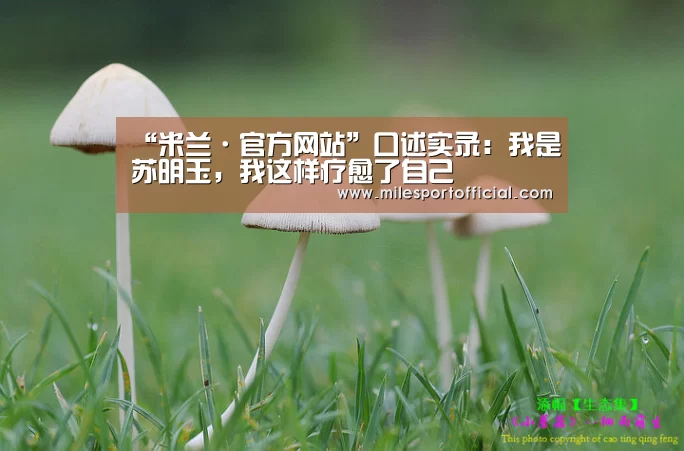 “米兰·官方网站”口述实录:我是苏明玉,我这样疗愈了自己(图1) 米兰milan官网
