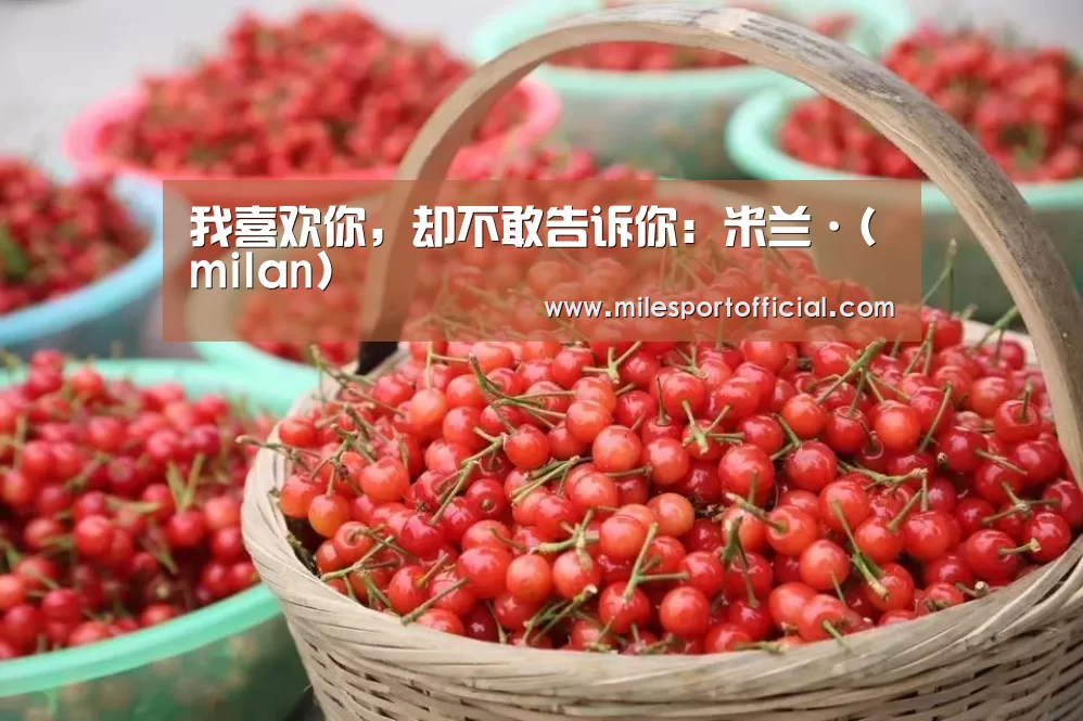 我喜欢你,却不敢告诉你:米兰·(milan)(图3) 米兰milan官方网
