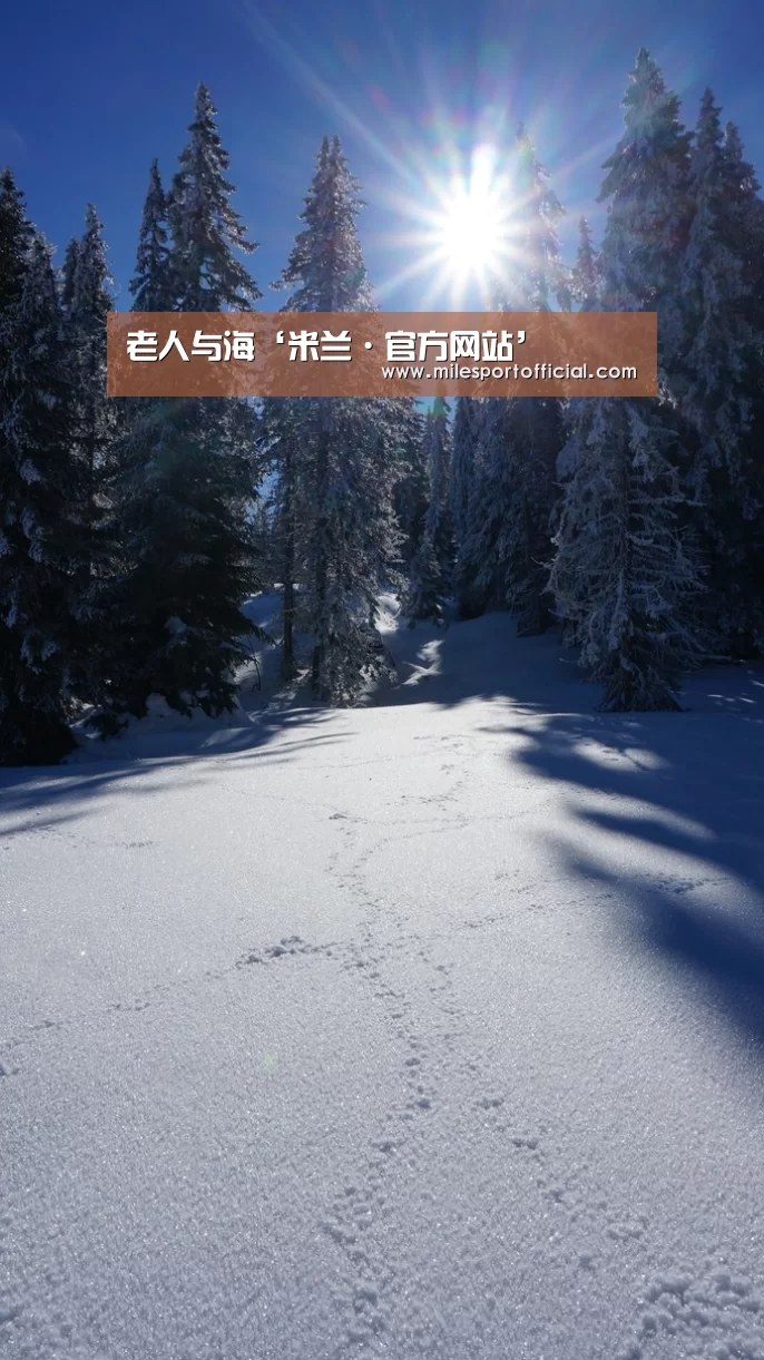 老人与海‘米兰·官方网站’(图2) 米兰·(milan)
